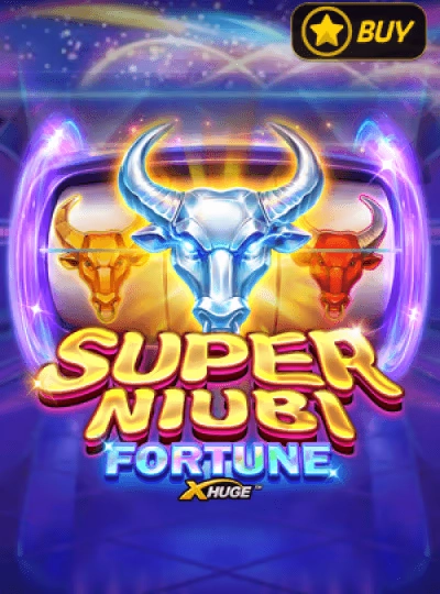 BPL tournament betting cover